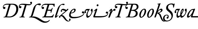 DTLElzevirTBookSwash-Italic