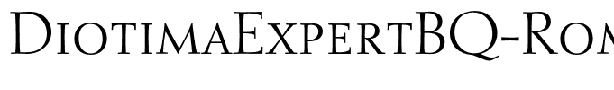 DiotimaExpertBQ-Roman