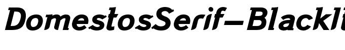 DomestosSerif-BlackItalic