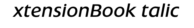 ExtensionBookItalic