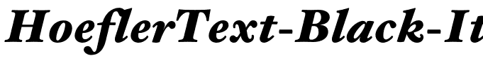 HoeflerText-Black-Italic