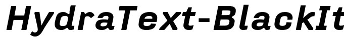 HydraText-BlackItalic