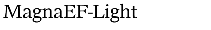 MagnaEF-Light