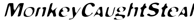 MonkeyCaughtStealing-Oblique