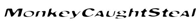 MonkeyCaughtStealing-SquatObliq