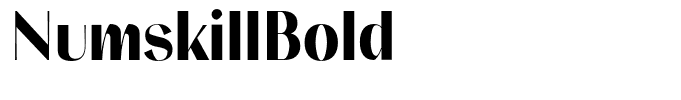 NumskillBold