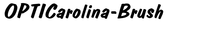 OPTICarolina-Brush