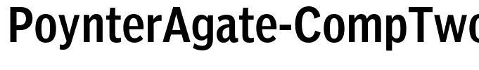 PoynterAgate-CompTwo