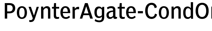 PoynterAgate-CondOne
