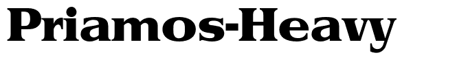 Priamos-Heavy