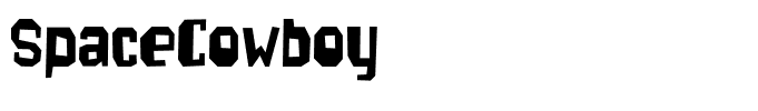 SpaceCowboy