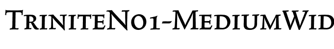 TriniteNo1-MediumWideExp