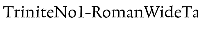 TriniteNo1-RomanWideTab
