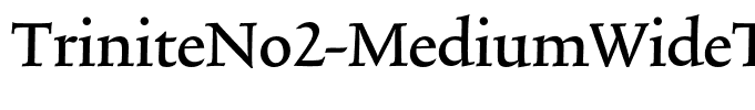 TriniteNo2-MediumWideTab
