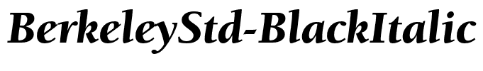 BerkeleyStd-BlackItalic