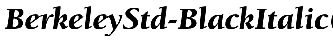 BerkeleyStd-BlackItalic(1)