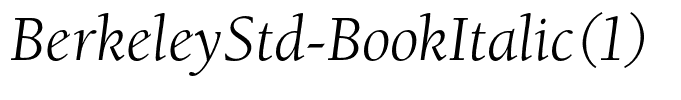 BerkeleyStd-BookItalic(1)