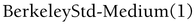 BerkeleyStd-Medium(1)