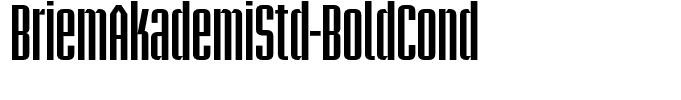 BriemAkademiStd-BoldCond