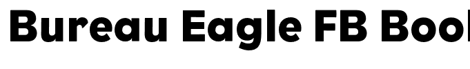 Bureau Eagle FB Book