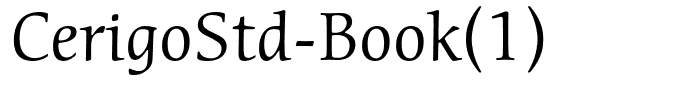 CerigoStd-Book(1)
