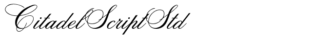 CitadelScriptStd