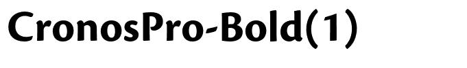 CronosPro-Bold(1)