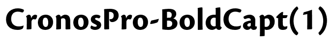 CronosPro-BoldCapt(1)