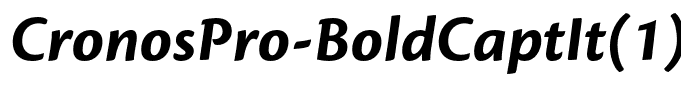 CronosPro-BoldCaptIt(1)