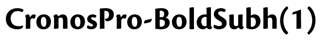 CronosPro-BoldSubh(1)