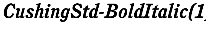 CushingStd-BoldItalic(1)