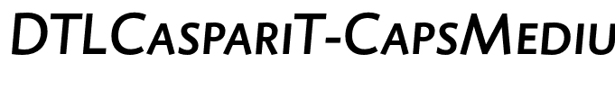 DTLCaspariT-CapsMediumItalic