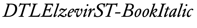 DTLElzevirST-BookItalic