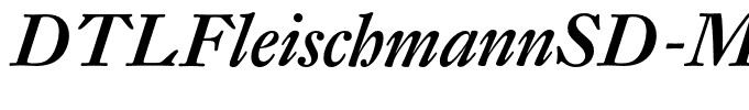 DTLFleischmannSD-MediumItalic