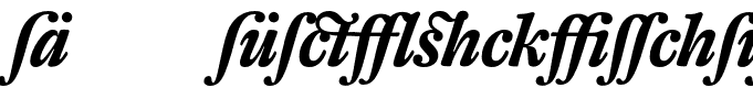 DTLFleischmannT-AltBoldItalic