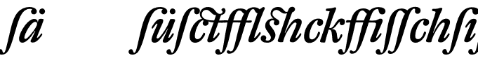 DTLFleischmannT-AltMediumItalic