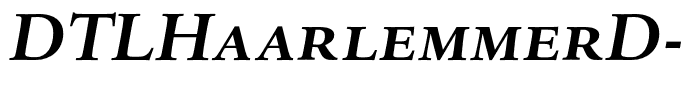 DTLHaarlemmerD-CapsBoldItalic