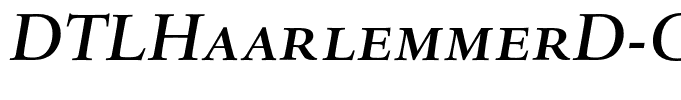 DTLHaarlemmerD-CapsMediumItalic