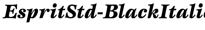 EspritStd-BlackItalic