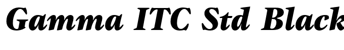 Gamma ITC Std Black Italic