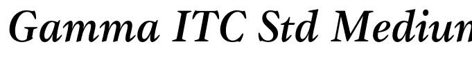 Gamma ITC Std Medium Italic