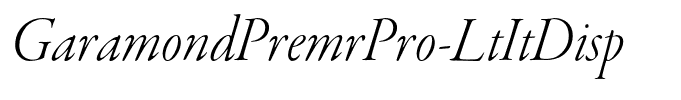 GaramondPremrPro-LtItDisp
