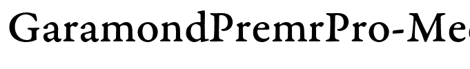 GaramondPremrPro-MedCapt(1)