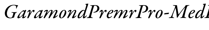 GaramondPremrPro-MedIt