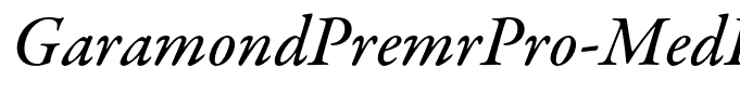 GaramondPremrPro-MedIt(1)