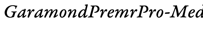 GaramondPremrPro-MedItCapt(1)