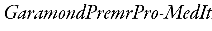 GaramondPremrPro-MedItSubh