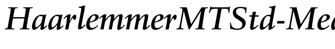 HaarlemmerMTStd-MediumItalic