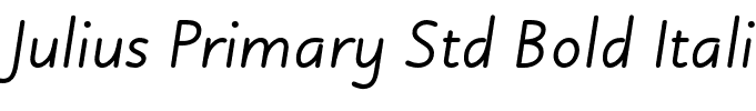 Julius Primary Std Bold Italic
