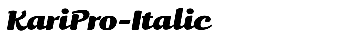 KariPro-Italic